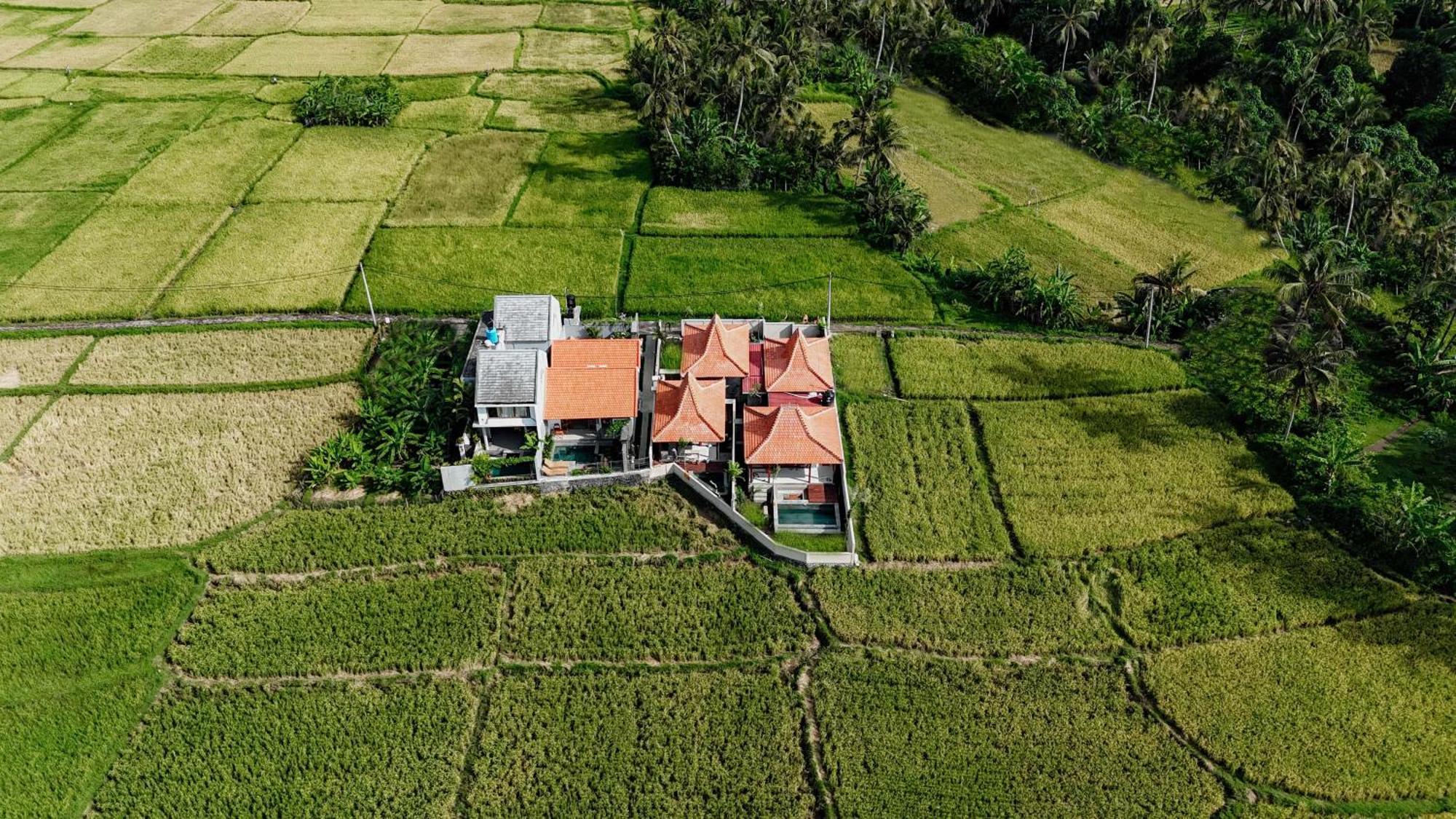 Weda Villas Ubud Exterior foto